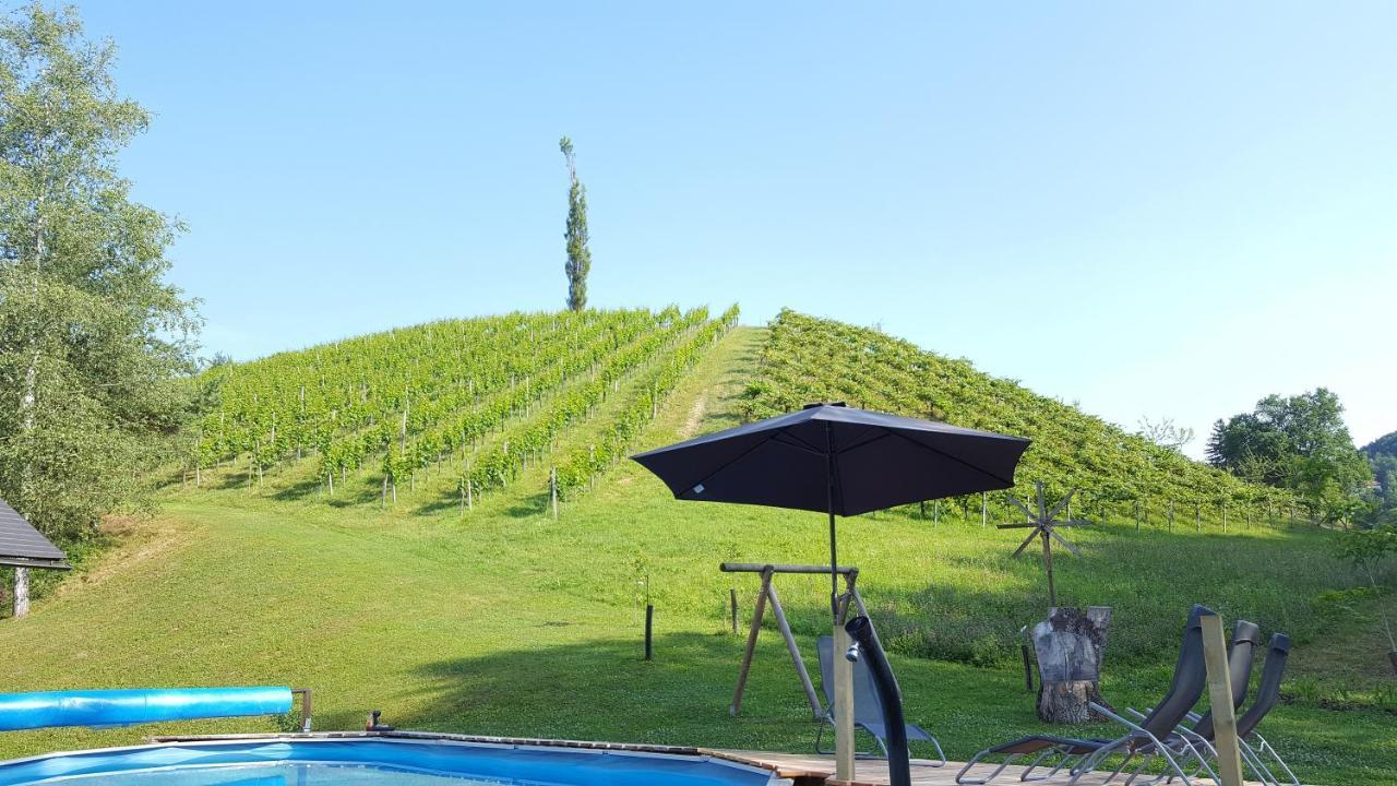 Weingut Lieschnegg Otel Leutschach Dış mekan fotoğraf